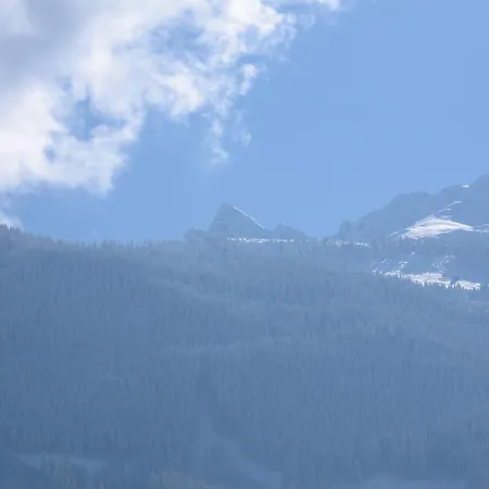 Hohe Tauernblick 公寓 米特西尔